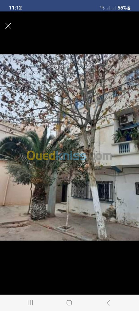 Vente Villa Tiaret Tiaret