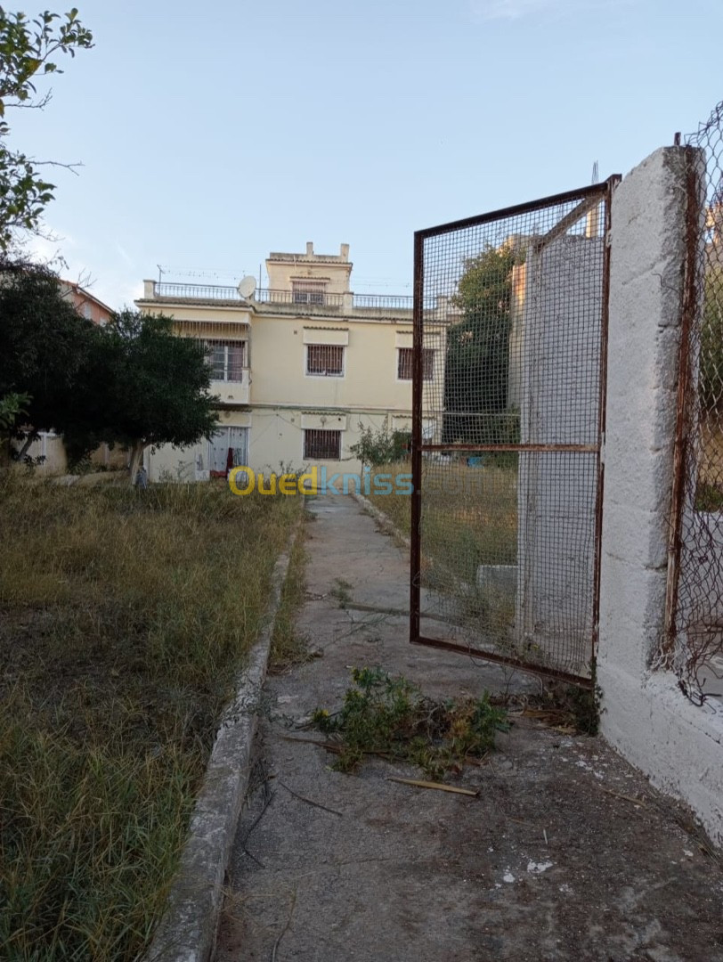 Vente Villa Alger Birkhadem