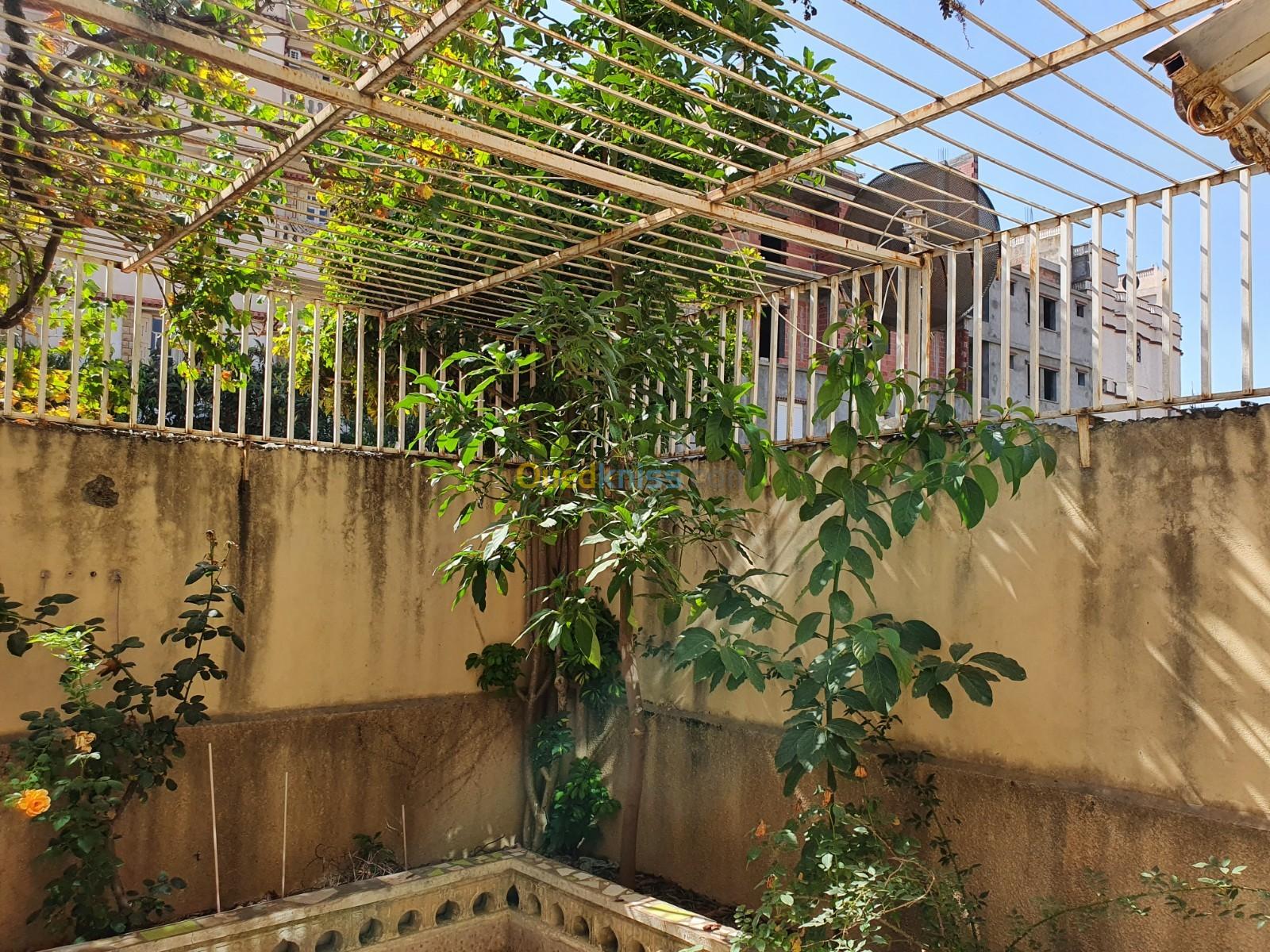 Vente Appartement F4 Jijel Taher