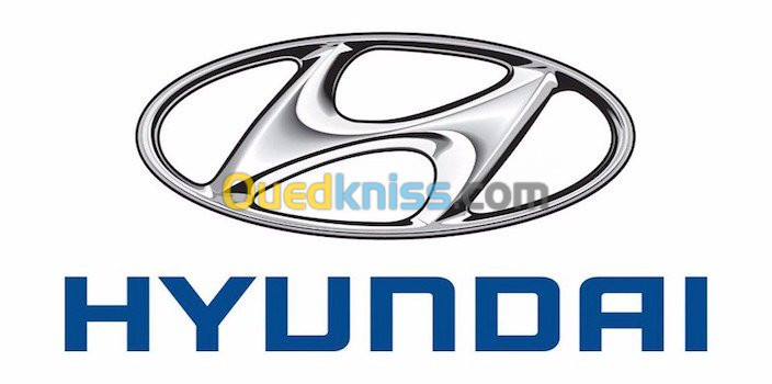 Microcat Hyundai 2021 online