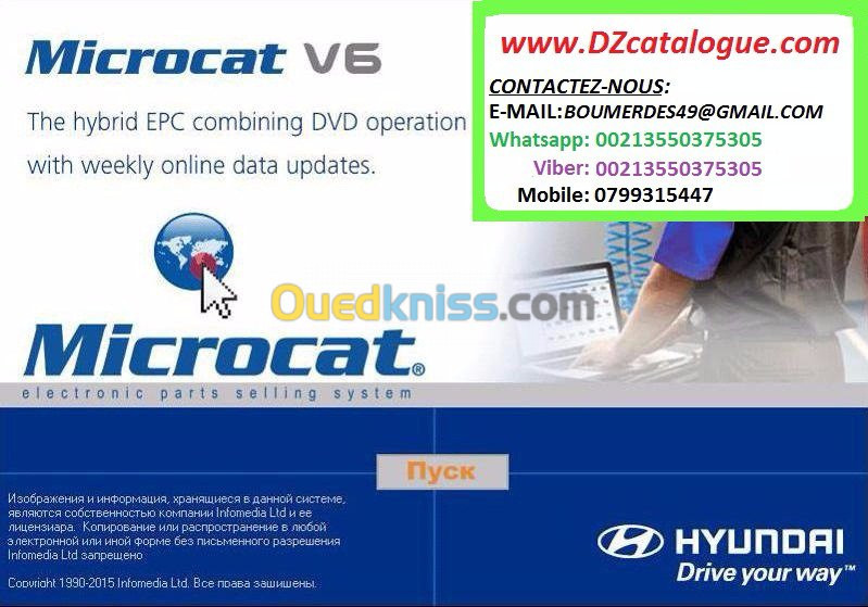 Microcat Hyundai 2021 online