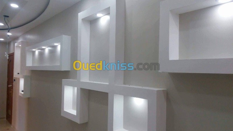 placo platre faux plafond placard ba13