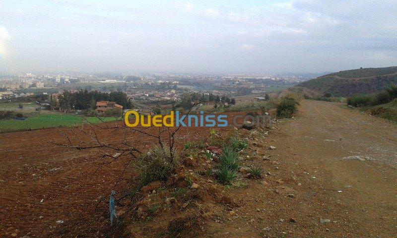 Vente Terrain Blida Guerrouaou