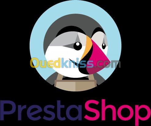 siteweb e-commerce (prestashop) 