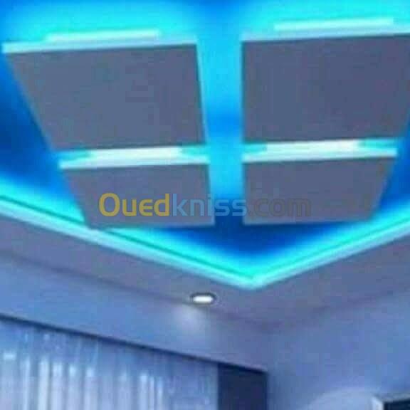 plaquist ba 13 et faux plafond pvc  