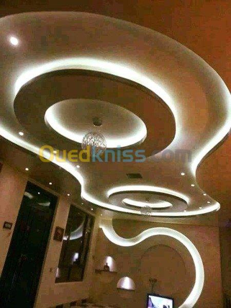 plaquist ba 13 et faux plafond pvc  