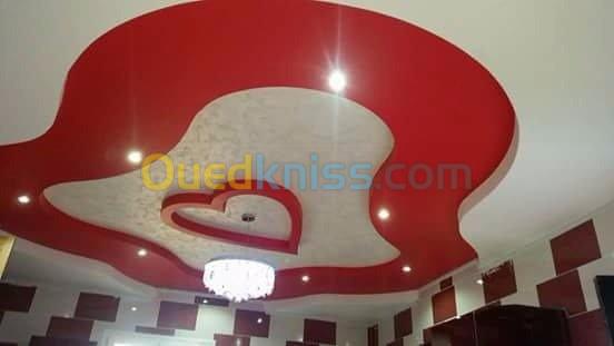 plaquist ba 13 et faux plafond pvc  