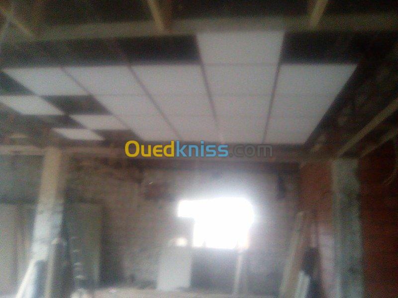 Tout types faux plafond 