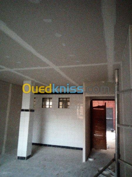 montage plafond BA13 .BA10  