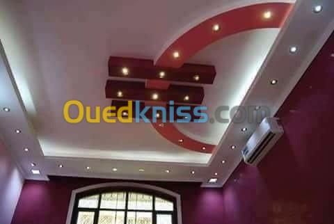 Faux plafond palco platre et pvc