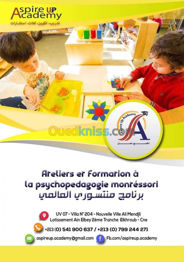 formation a psychopedagogie montéssori