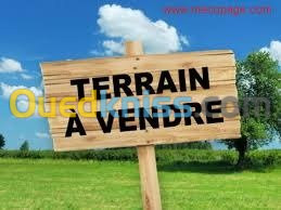 Vente Terrain Alger Saoula