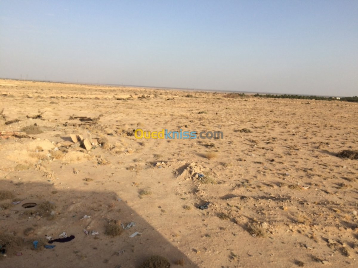 Vente Terrain Biskra Bouchagroun