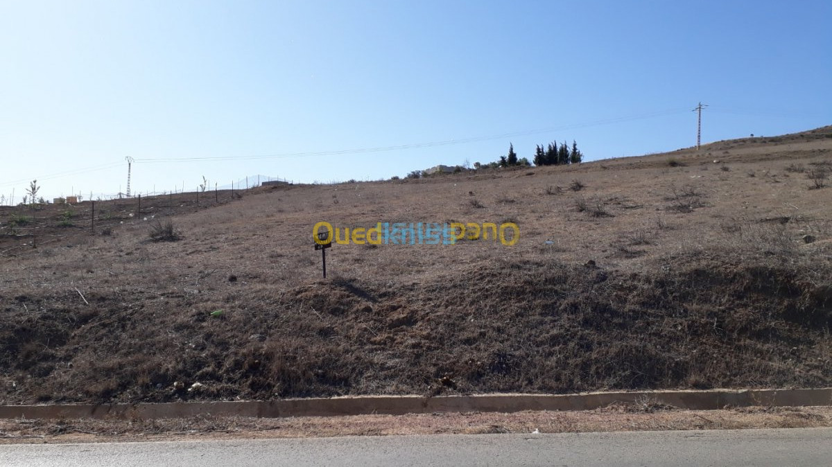 Vente Terrain Tlemcen Souahlia