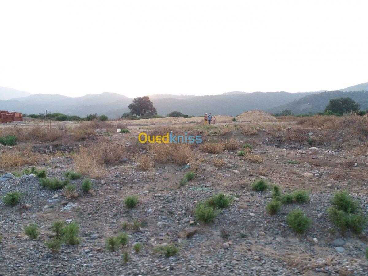 Vente Terrain Jijel El milia