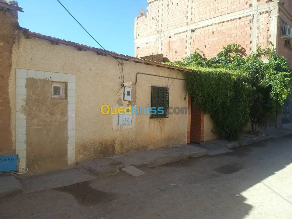 Vente bien immobilier Saida Ouled brahim