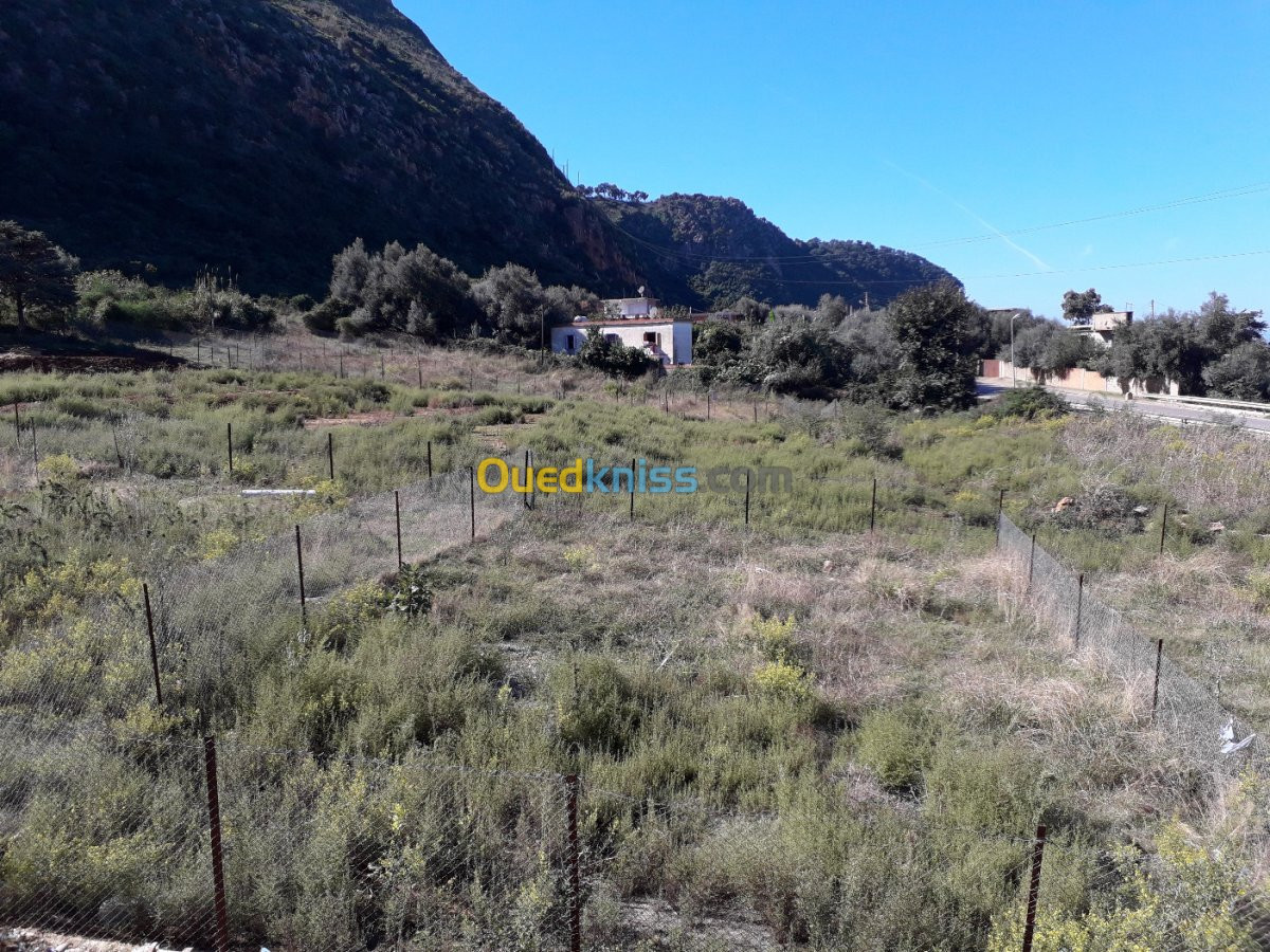 Vente Villa Jijel Ziama mansouriah