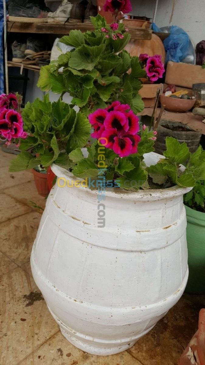 Pots de fleurs et cache pots