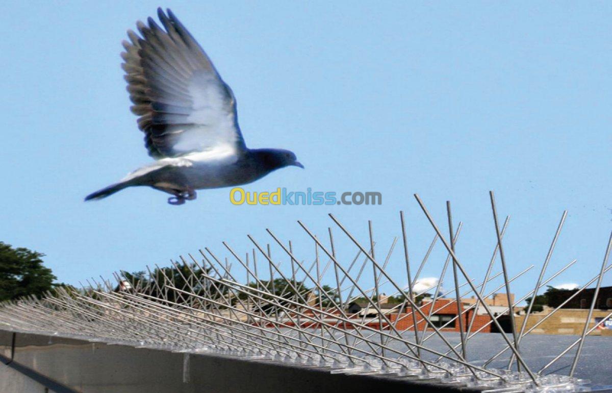 PIC PIGEONS à moitié prix