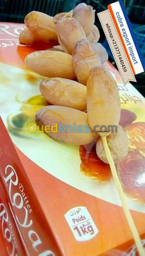 export import dattes deglet nour