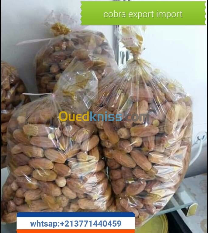 export import dattes deglet nour