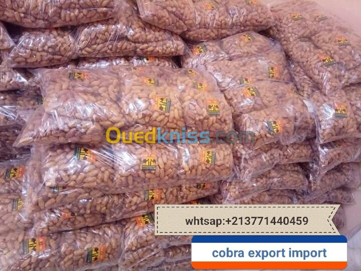 export import dattes deglet nour