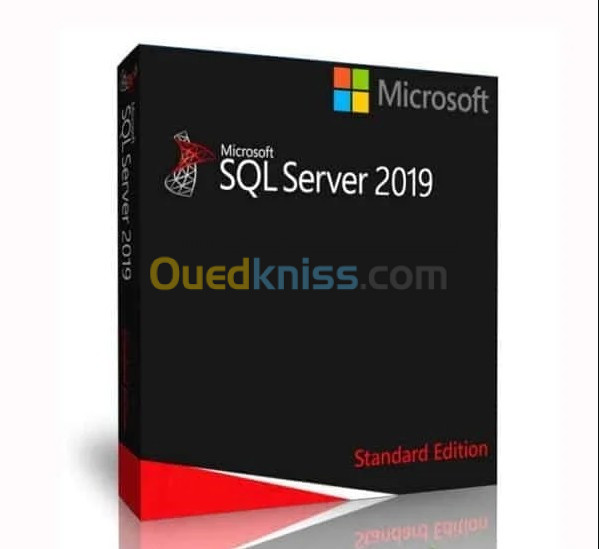 Microsoft SQL Server 2019 Standard Runtime coffret