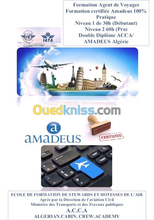 AMADEUS AGENT DE VOYAGE 