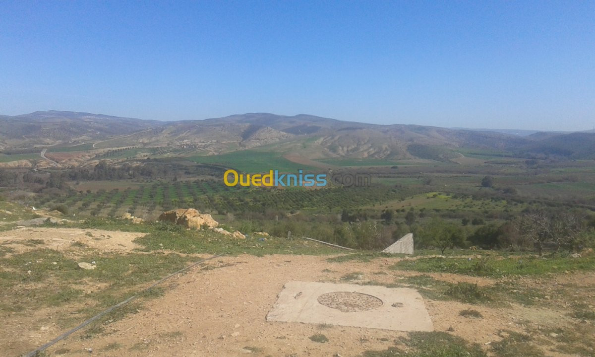 Vente Terrain Tlemcen Remchi