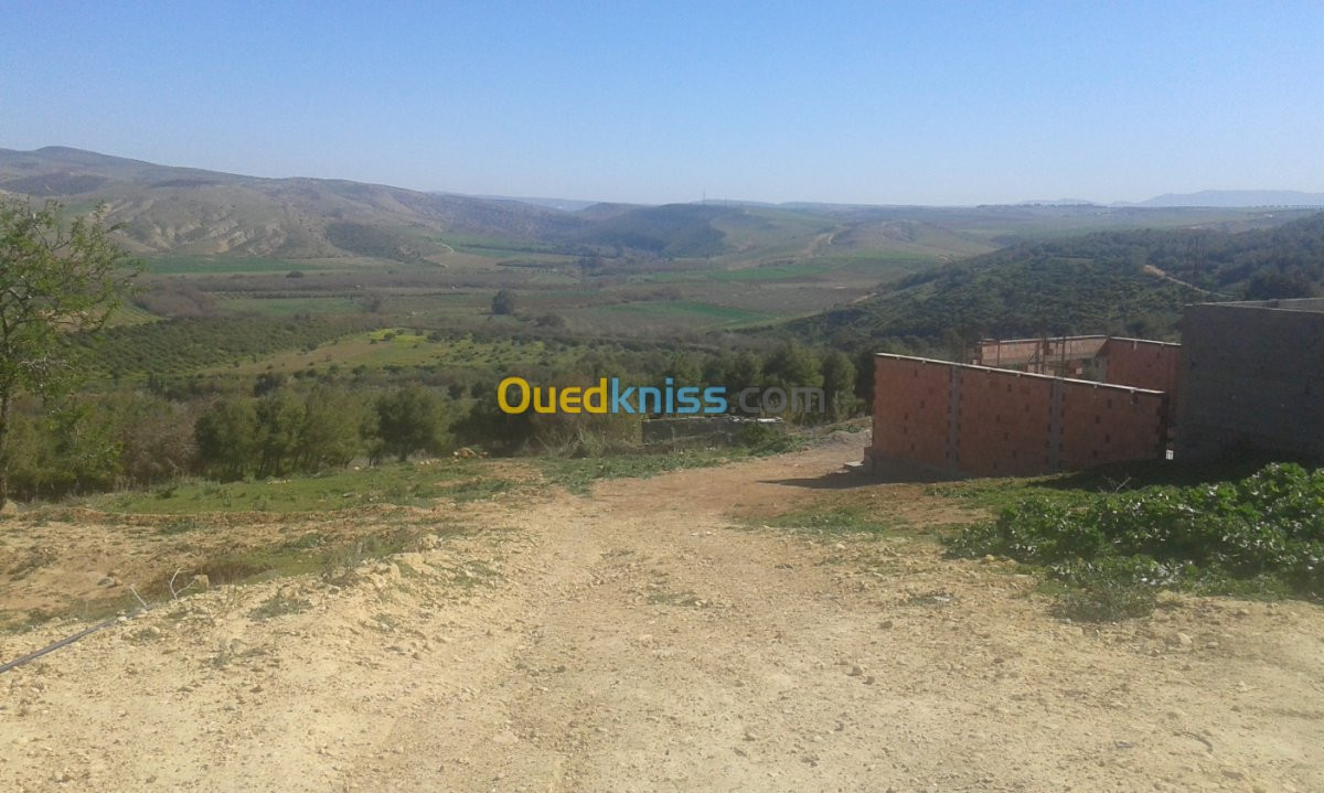 Vente Terrain Tlemcen Remchi