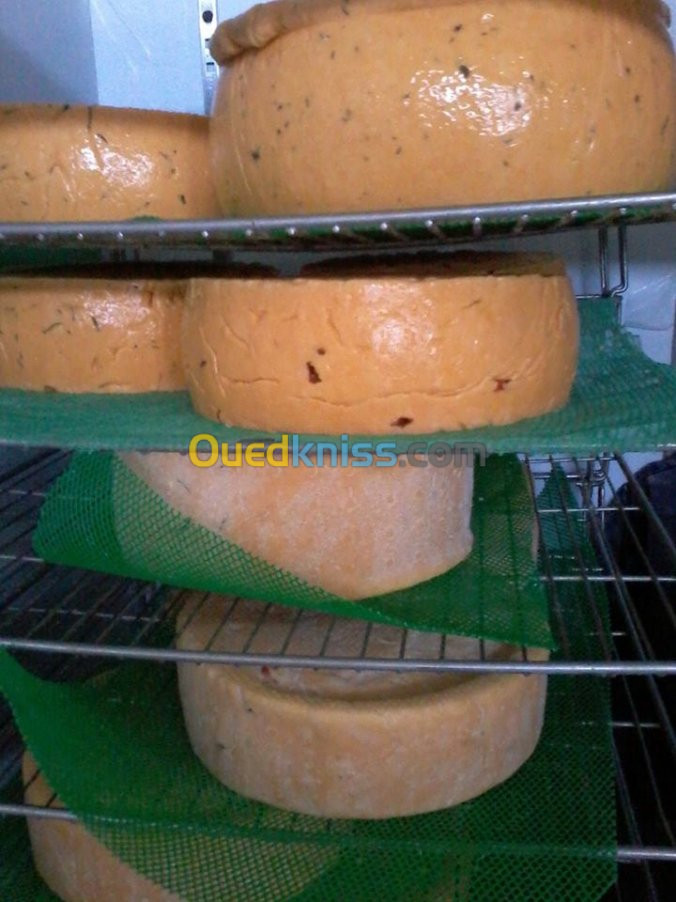 FORMATION EN FABRICATION DE FROMAGES