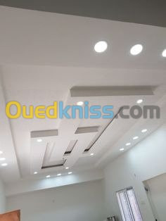  Placo platre faux plafond BA13 et pvc