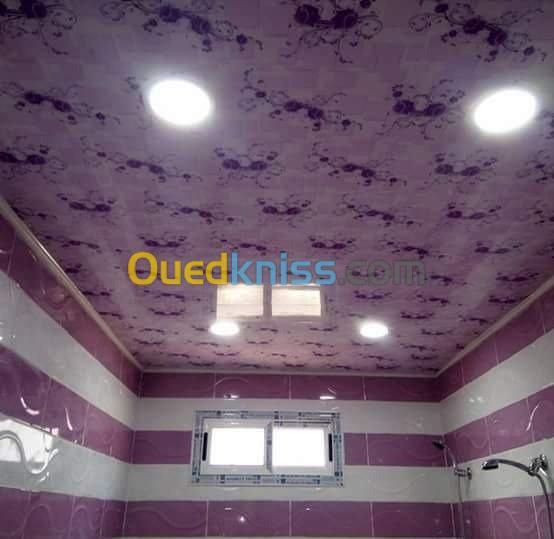  Placo platre faux plafond BA13 et pvc