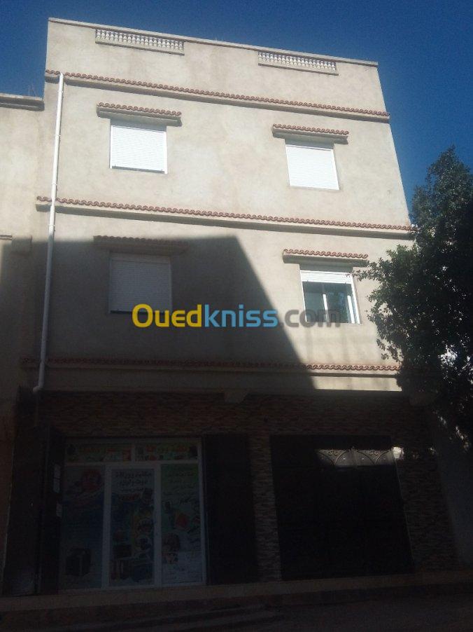 Vente Duplex F10 Ain defla Ain defla