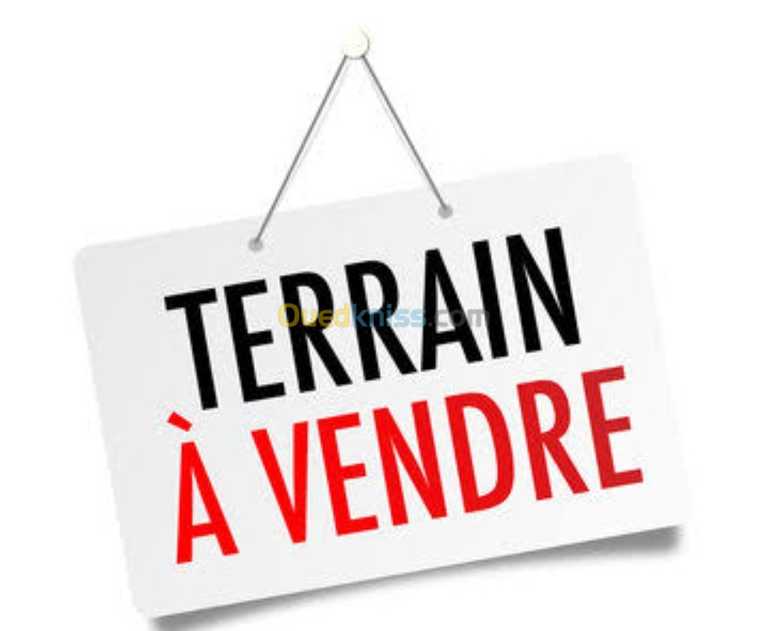 Vente Terrain Oran Oran