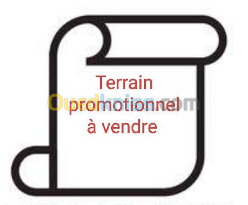 Vente Terrain Oran Bir el djir