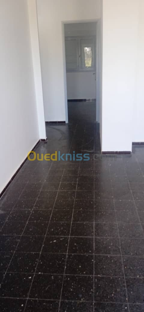 Location Appartement F3 Alger Ben aknoun