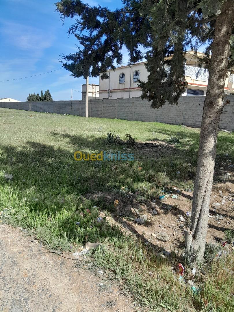 Vente Terrain Sétif Guelal