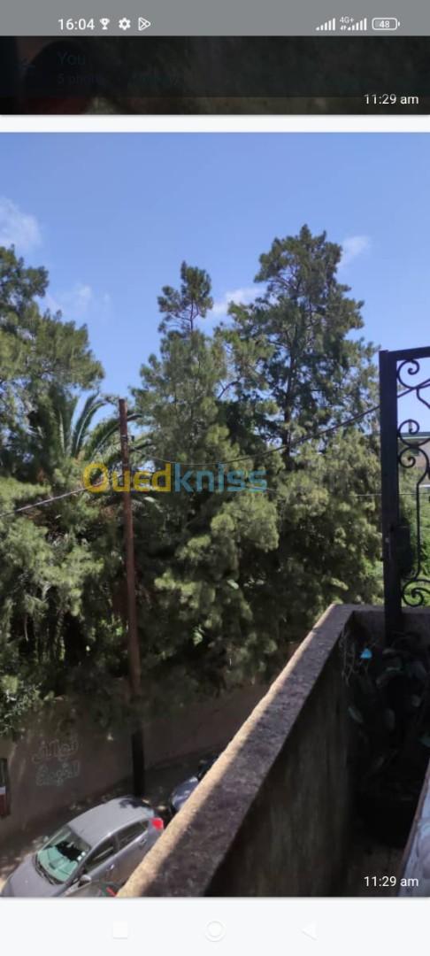 Location Niveau De Villa F5 Alger El biar