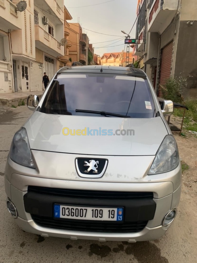 Peugeot Partner 2009 Tepee