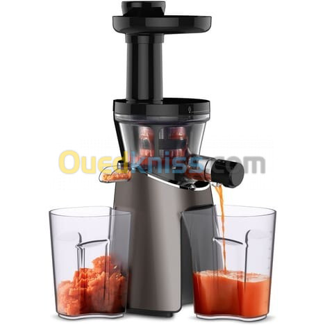 extracteur de jus Moulinex noir 150W ZU550A10 POWER JUICE