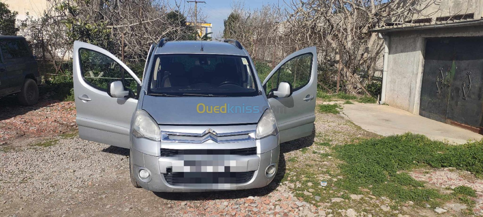 Citroen Berlingo 2009 Berlingo