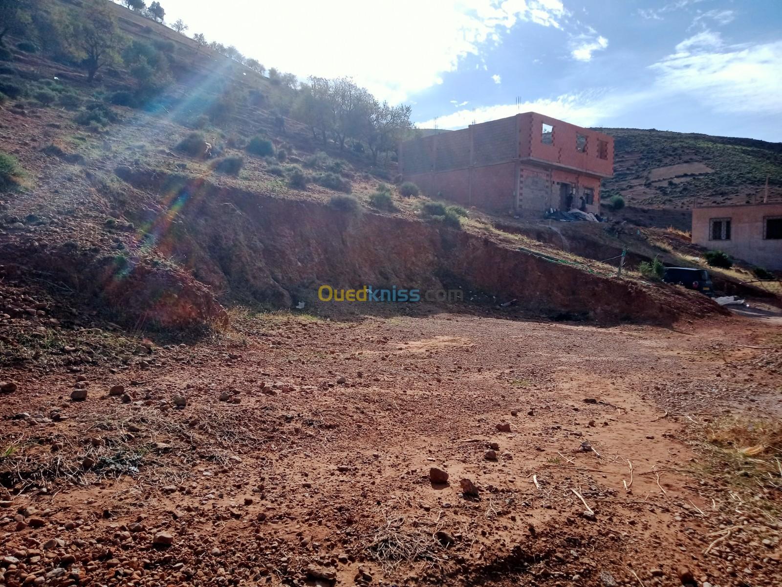 Vente Terrain Tlemcen Beni mester