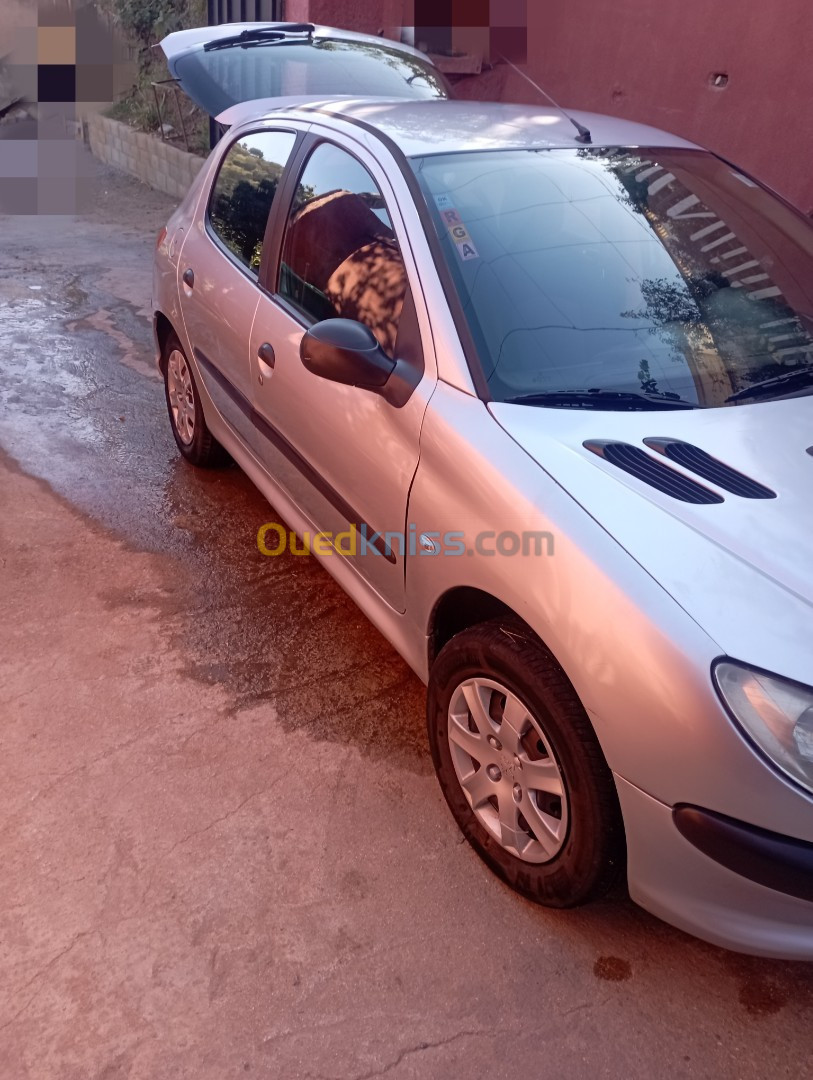 Peugeot 206 2004 206