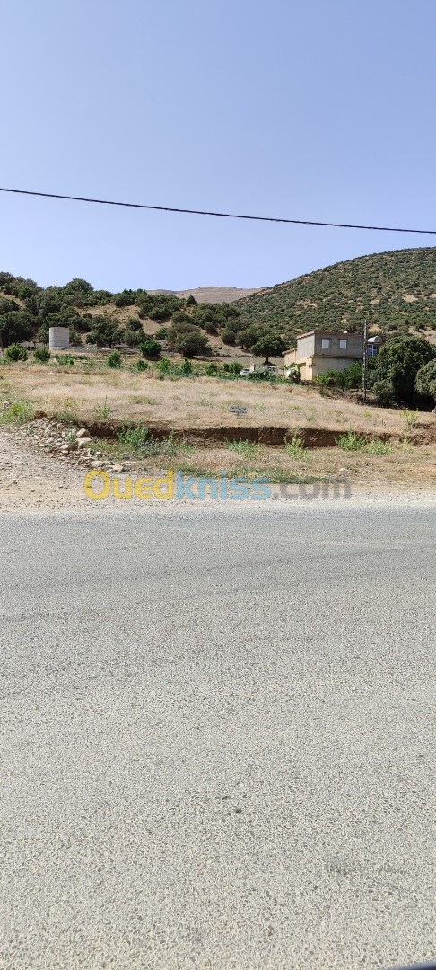 Vente Terrain Batna Batna