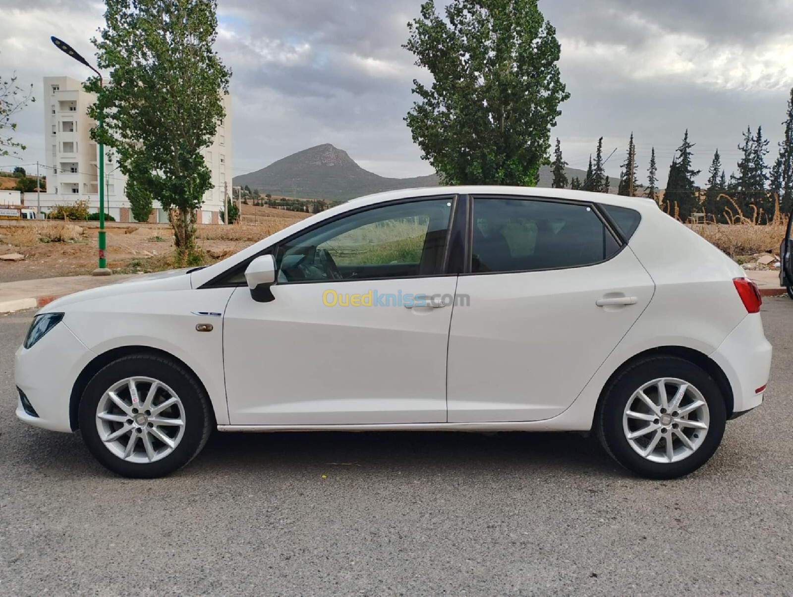 Seat Ibiza 2013 Fully