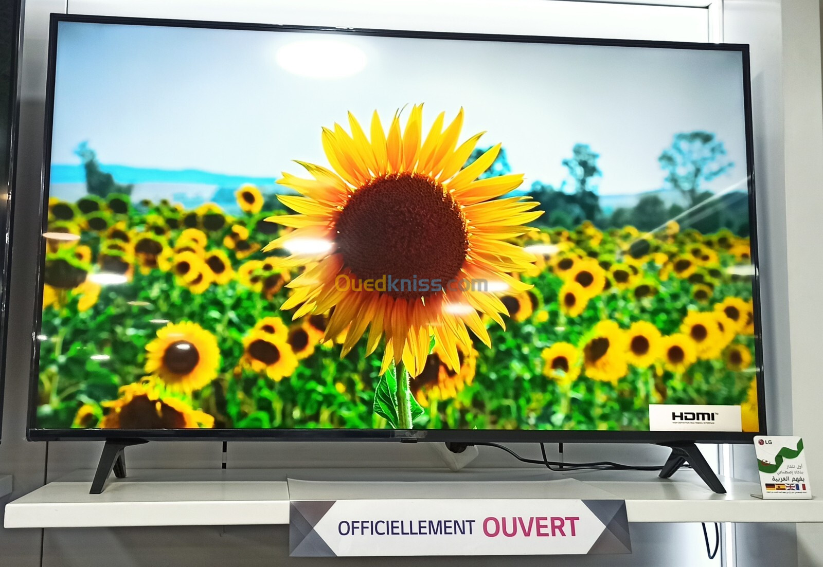 Téléviseur LG 55 pouces LED 4K