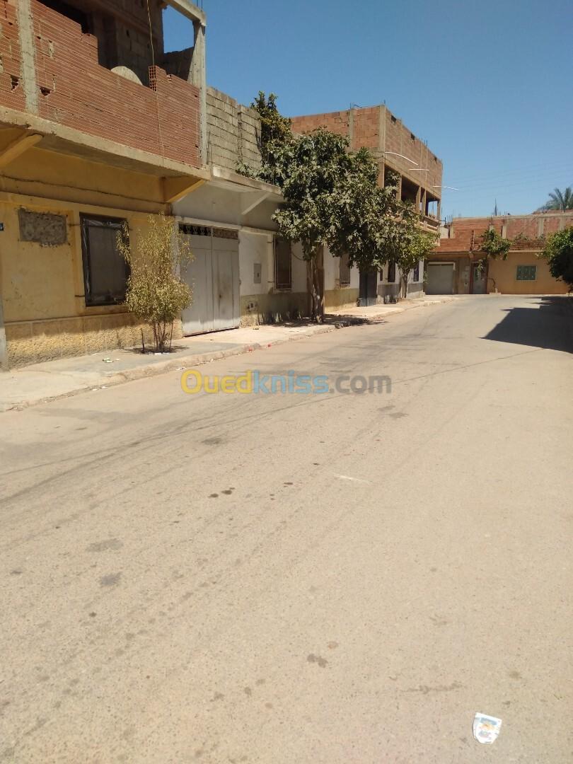 Vente bien immobilier Relizane Oued rhiou