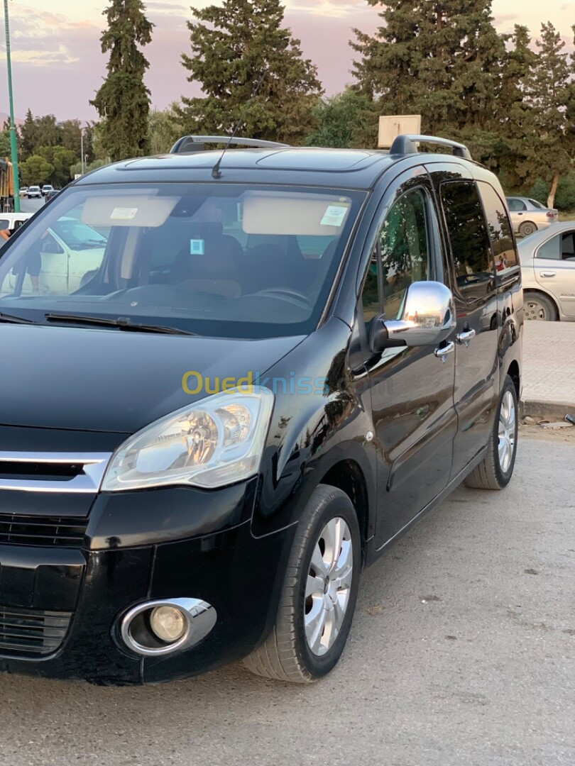 Citroen Berlingo 2010 Mlti ispace