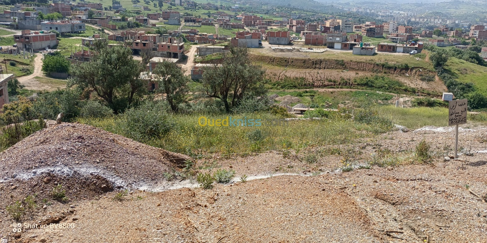 Vente Terrain Boumerdès Boudouaou